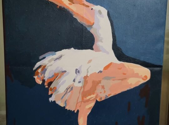 Grație în mișcare