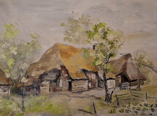 Vechea gospodărie rustică